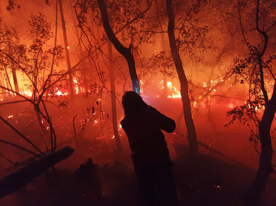 Mais de 120 operacionais combatem fogo rural em Vila Real