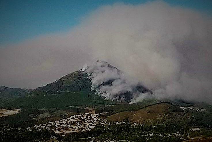 PJ deteve suspeito de incêndio florestal em Mondim de Basto