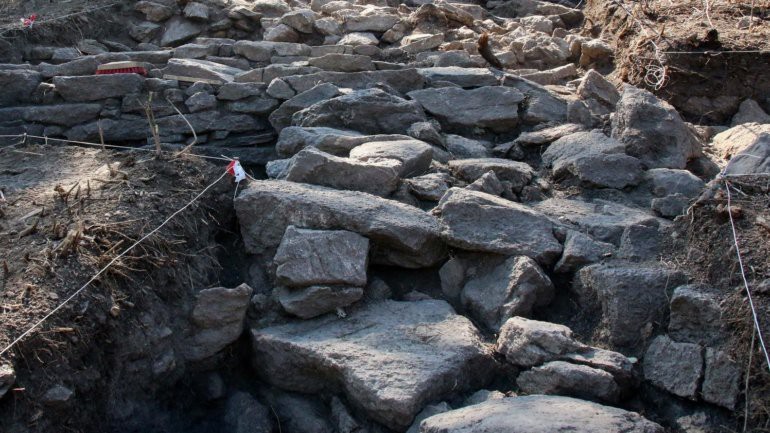 Figura zoomórfica com mais de dois mil anos descoberta em Miranda do Douro