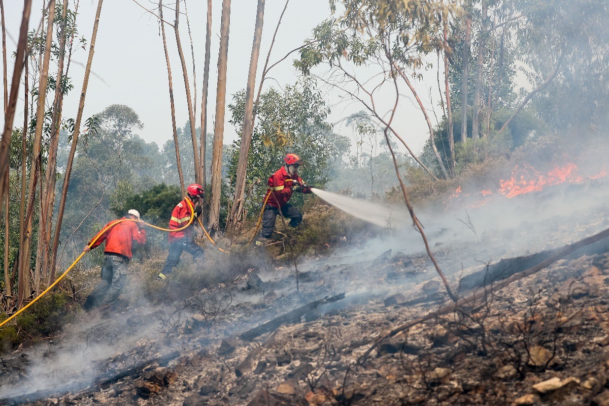 Mais de 100 bombeiros combatem fogo na Serra do Marão