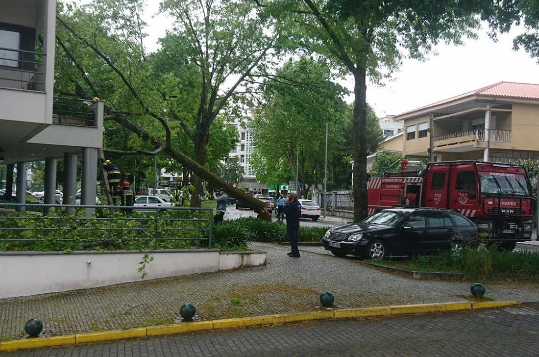 Mau tempo causa queda de árvores e danos em viaturas em Chaves