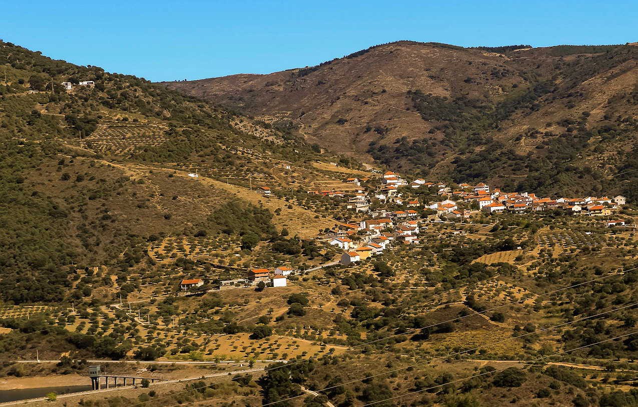 Granizo causa estragos e receios de perda total de colheitas na Vilariça