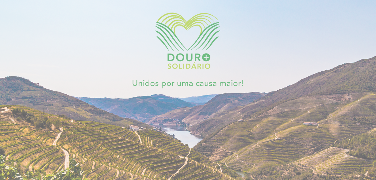 Campanha "Douro + Solidário" quer angariar álcool gel para hospitais