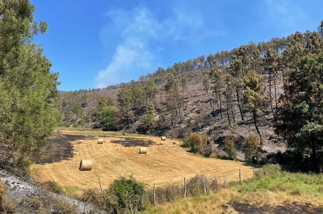 Dominado desde as 21:30 fogo em Vila Pouca de Aguiar