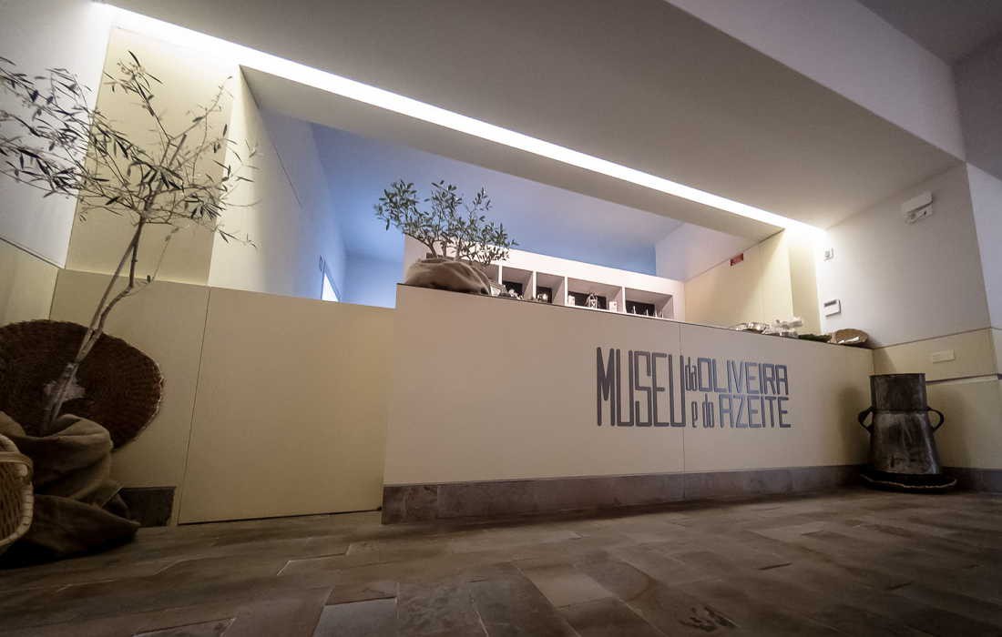 Museu do Azeite passa a integrar rede internacional