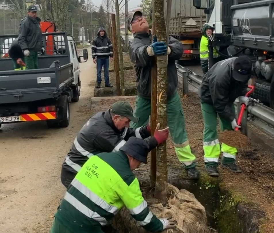 Vila Real replanta árvores no parque da estação afetado pela tempestade