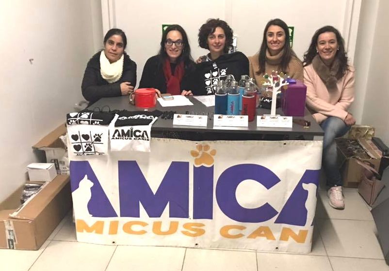 Associação AMICA defende que se justifica um canil em Bragança
