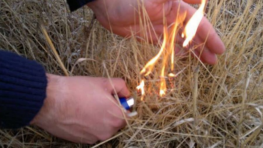 PJ deteve suspeito de atear pelo menos quatro fogos em Mesão Frio