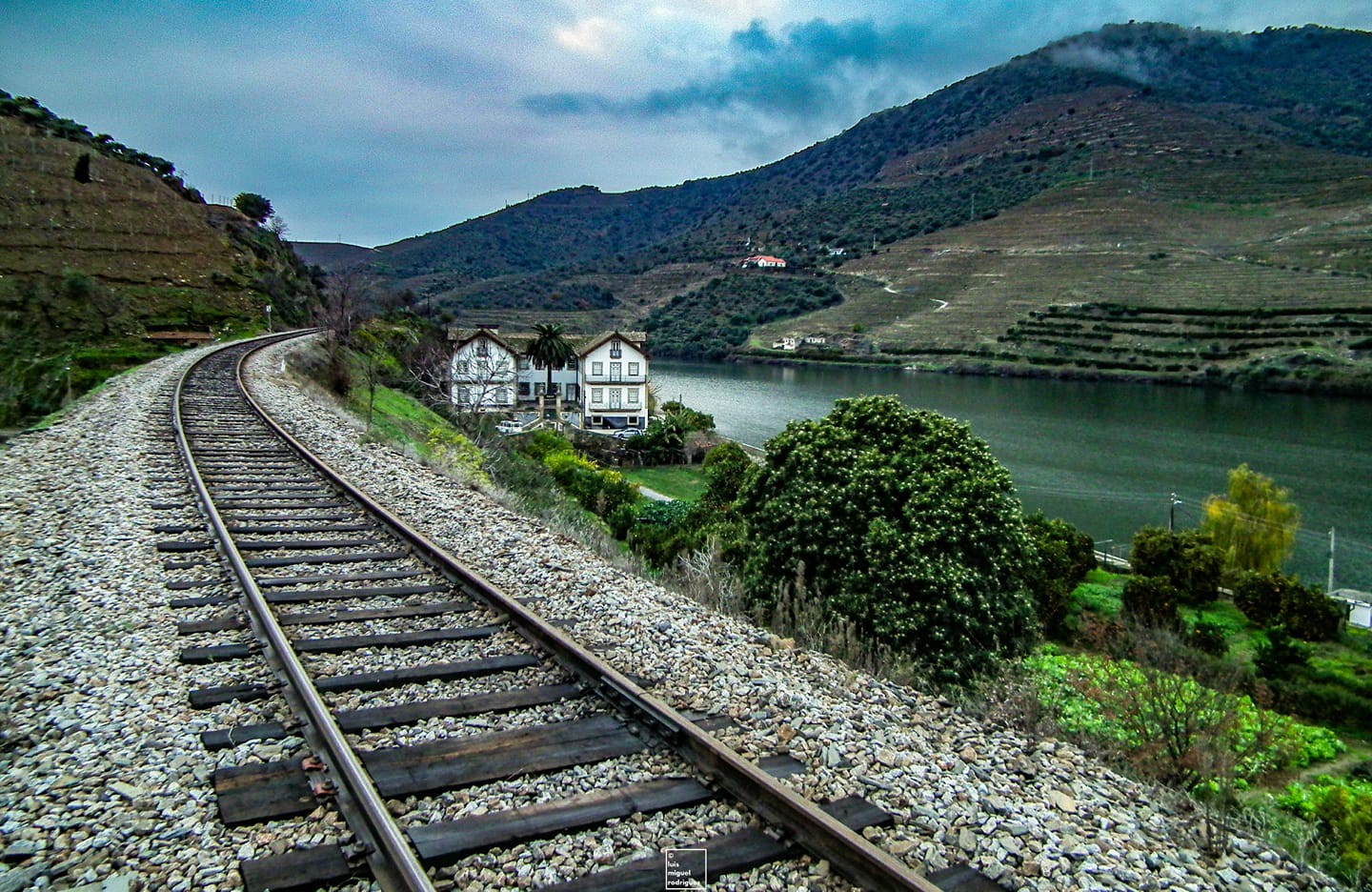 Petição em defesa da Linha do Douro entregue hoje no Parlamento