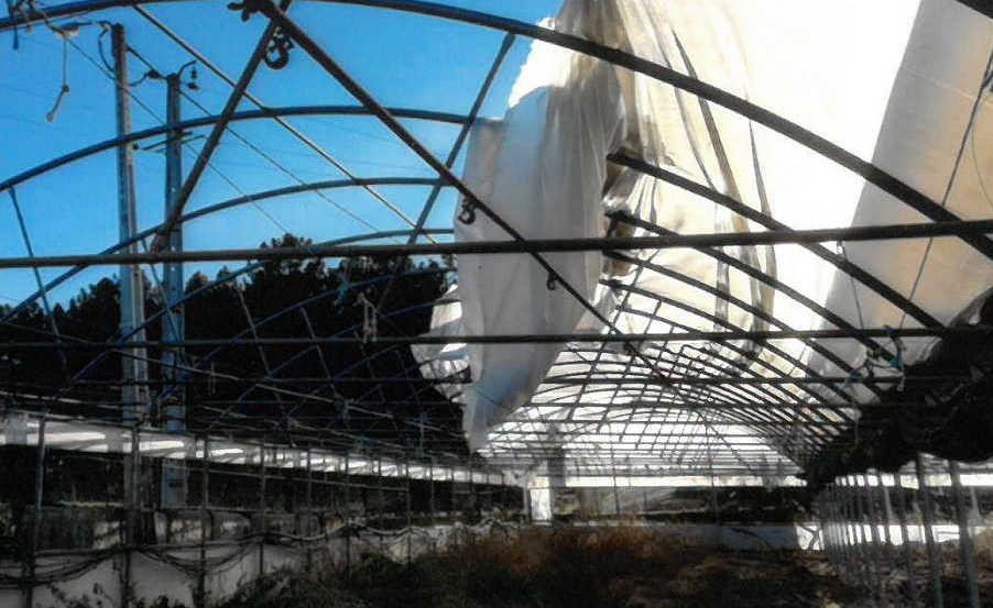 Agricultores pedem apoio financeiro para estragos em estufas em Vila Real