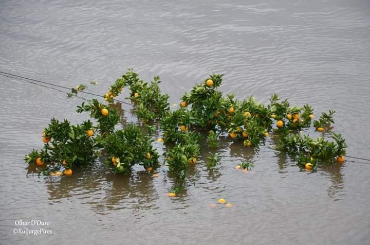 Rio Douro desce na zona de Peso da Régua