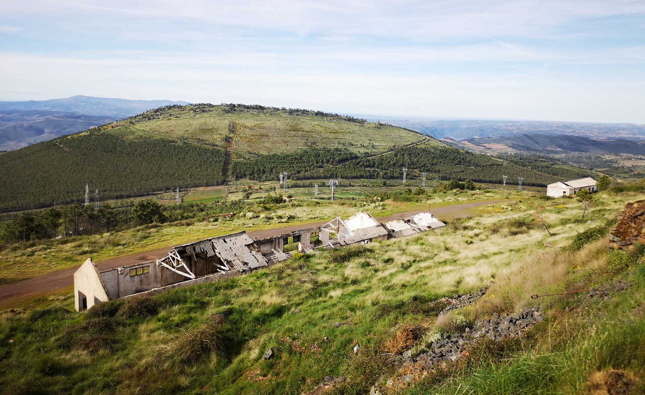 Moncorvo promove passeio e recolha de cogumelos silvestres