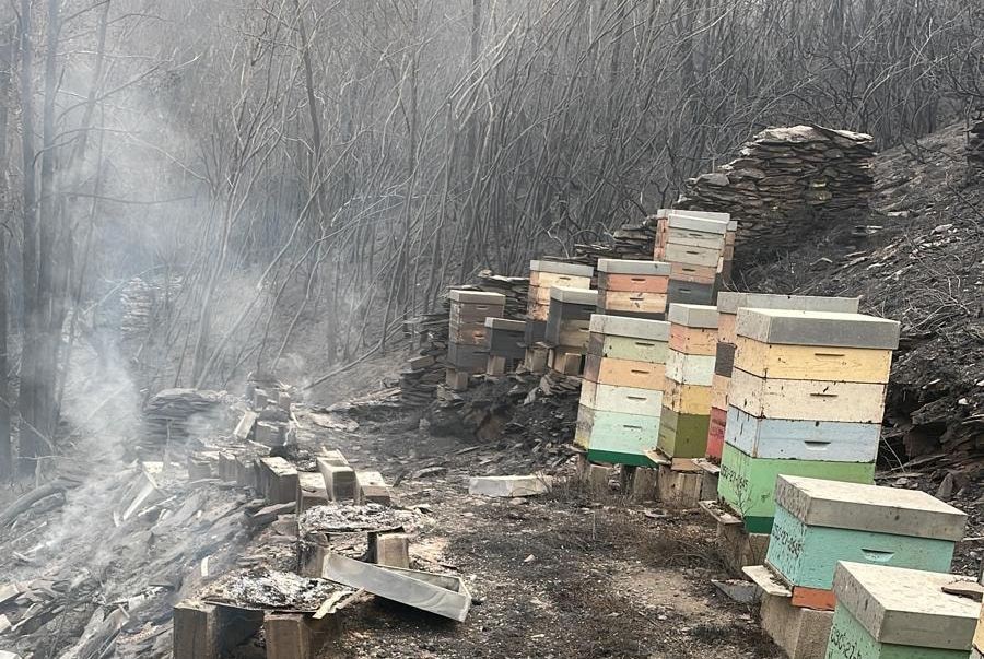 Fogo em Chaves novamente em território português após passar para Espanha