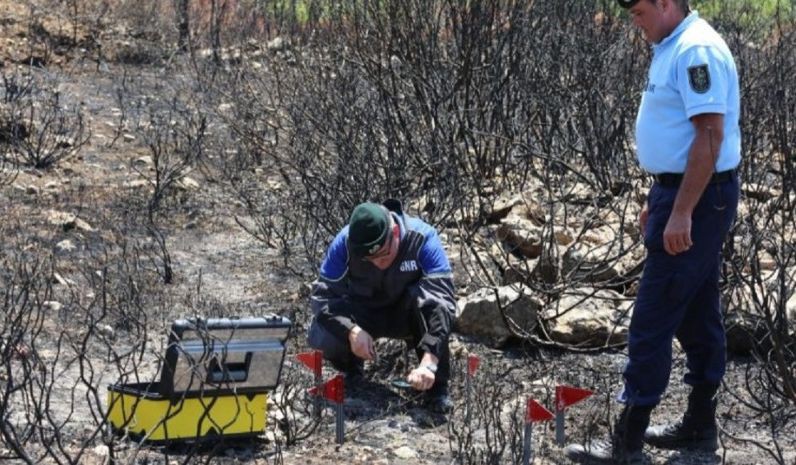 GNR identificou mulher suspeita de atear incêndio florestal