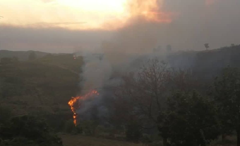 Incêndio em Valpaços leva a evacuação da aldeia de Ervões