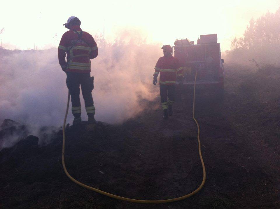 Fogo queimou entre 500 a 600 hectares nos concelhos de Alijó e Murça
