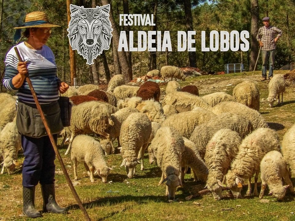 Aldeia de Fafião organiza festival em prol da preservação do lobo