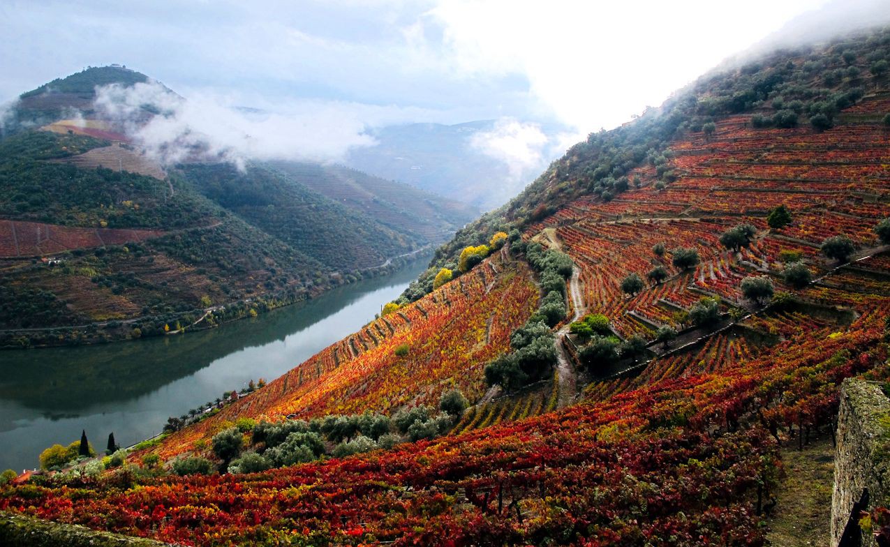 Associação Prodouro quer tornar “oficial” conceito de quinta no Douro