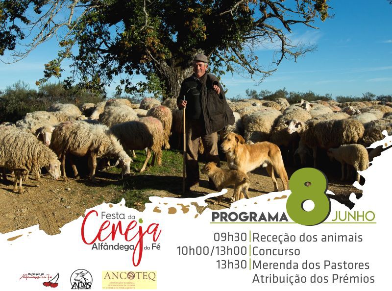 V Encontro de Pastores na Festa da Cereja de Alfândega da Fé