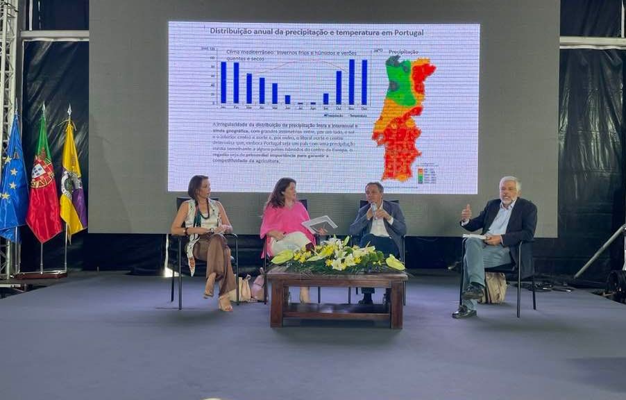 Regadio usa 75% da água em Portugal e desperdiça mais de um terço - APA