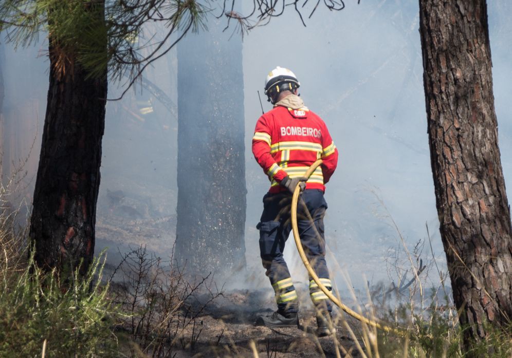 Em resolução fogo que começou em Canedo no concelho de Ribeira de Pena