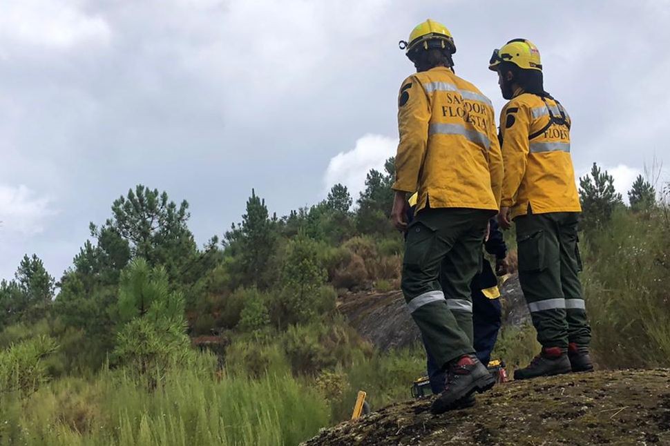 Fogo de Carrazeda de Ansiães em resolução