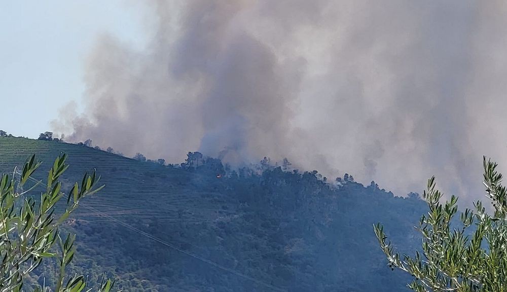 Incêndio mantem-se ativo em Carrazeda de Ansiães