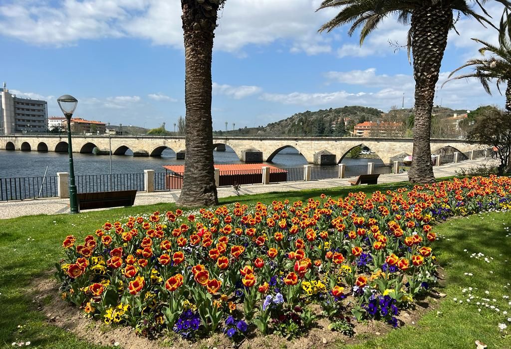 Mirandela reduz rega e lavagem de ruas e apela ao uso racional da água