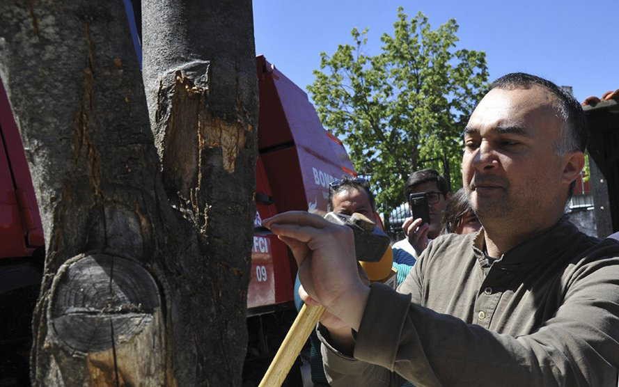 Macedo aposta em luta biológica para combater o cancro do castanheiro