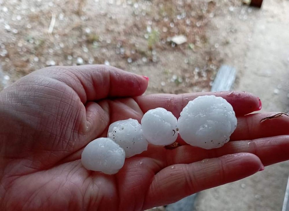 Granizo provoca estragos em campos agrícolas em freguesia de Vila Real