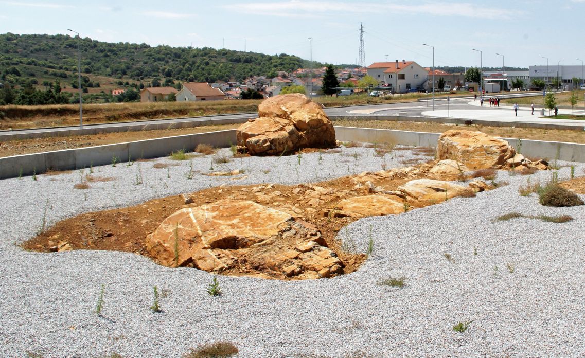 Bragança quer elevar a monumento natural o "Tojal dos Pereiros"