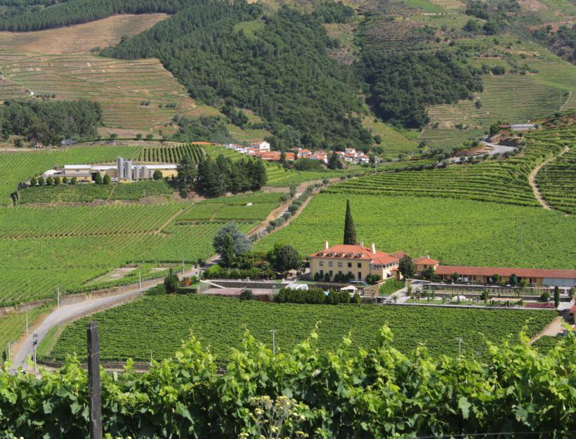 "O Douro é o maior laboratório vivo para as mudanças climáticas”