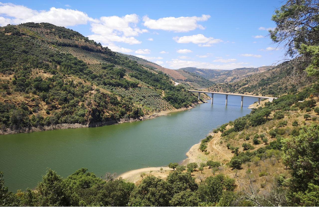 Mogadouro avança com intervenções de restauro ecológico nas margens do rio Sabor