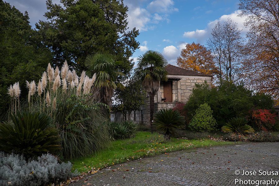 Jardim botânico da UTAD classificado como bem de interesse municipal