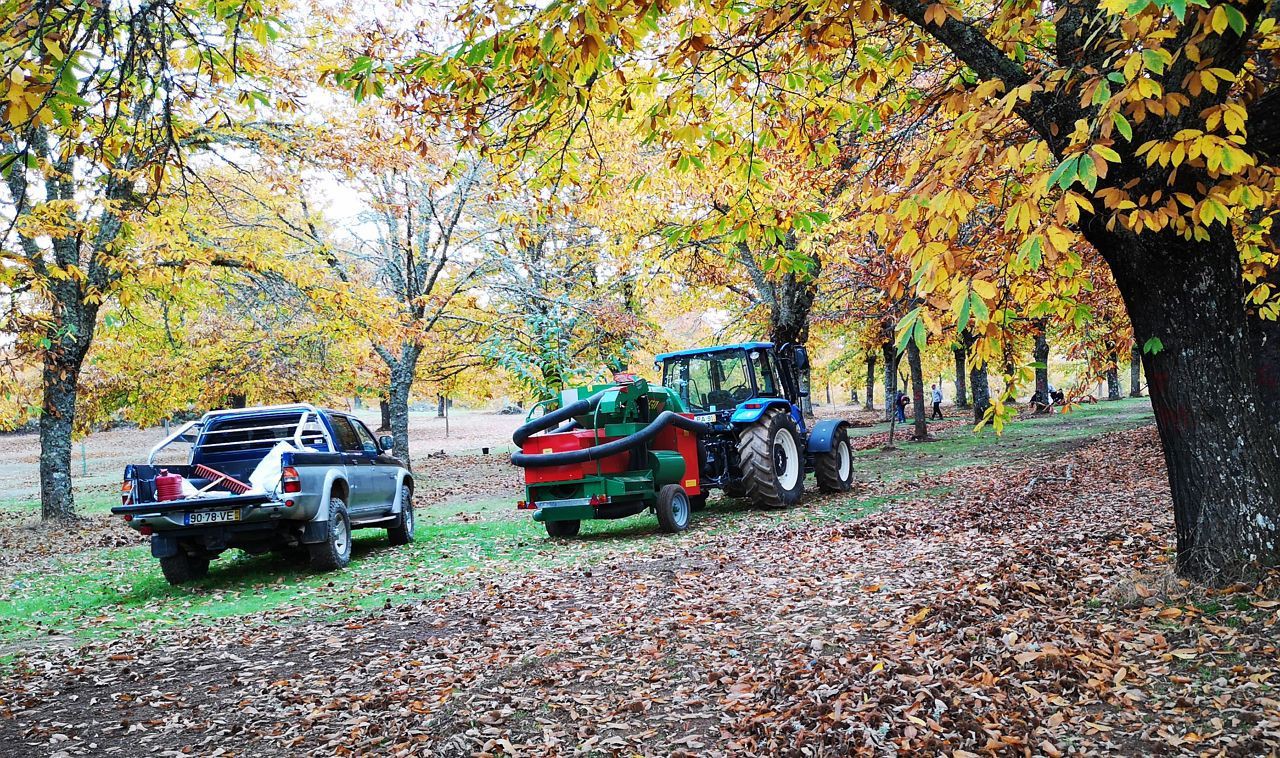 Estatuto de Jovem Empresário Rural prevê regime de benefícios fiscais