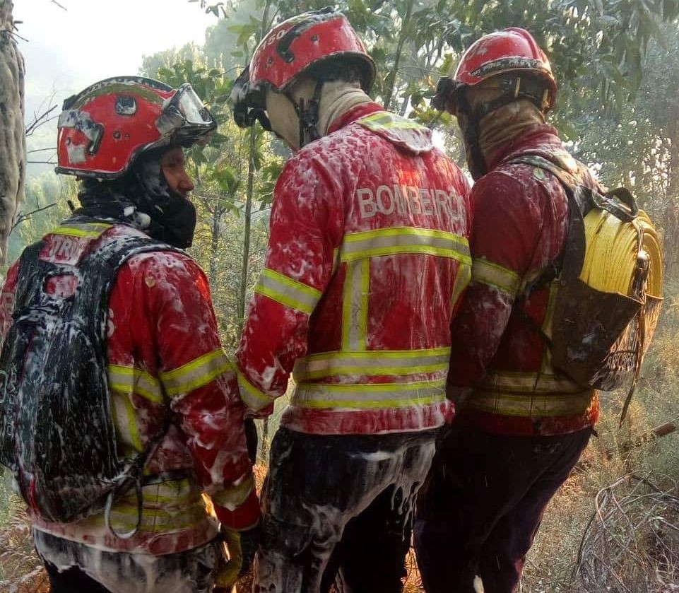 Apesar do frio o distrito de Vila Real tem registado vários fogos