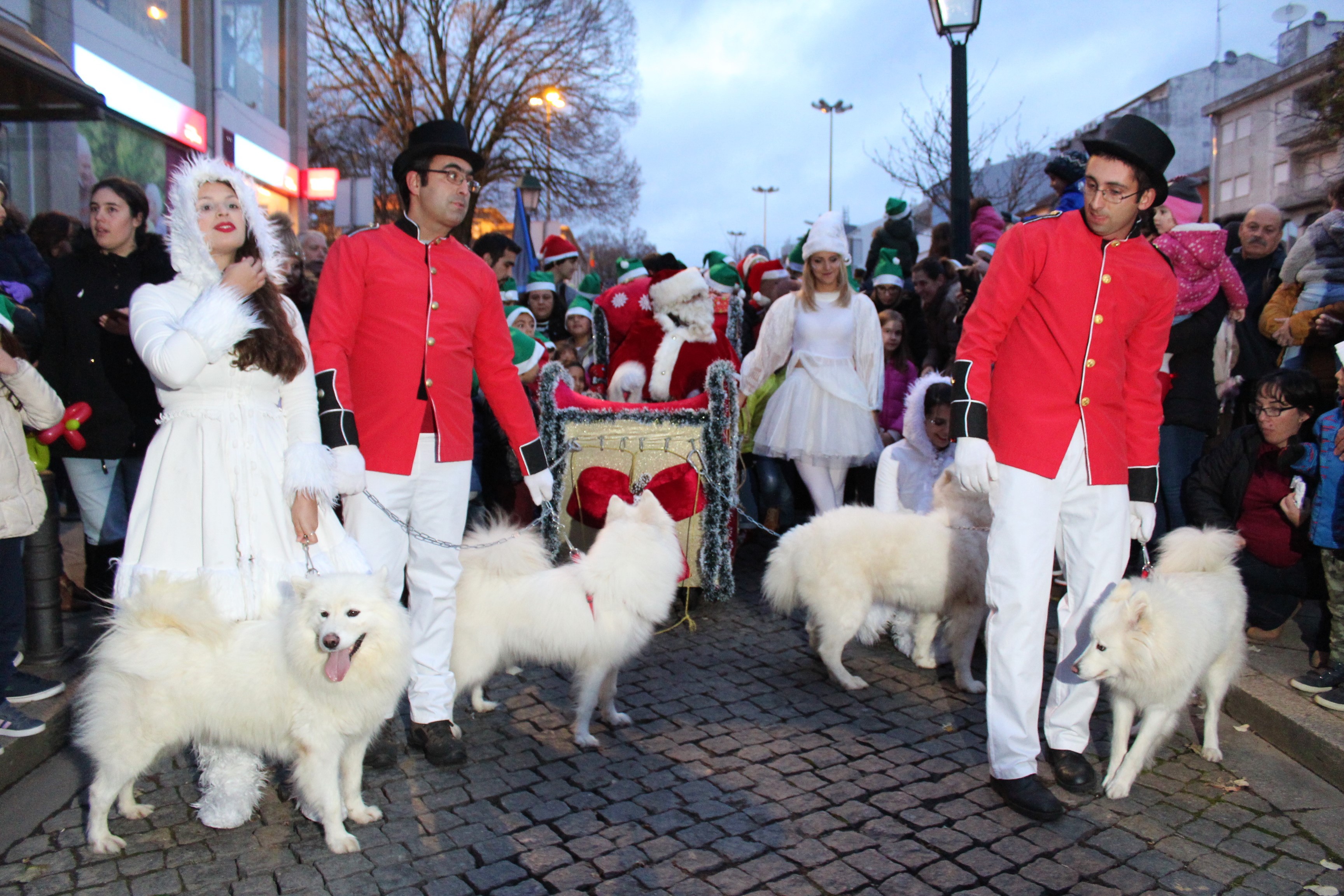 Chegada dos Reis Magos a Bragança já este domingo