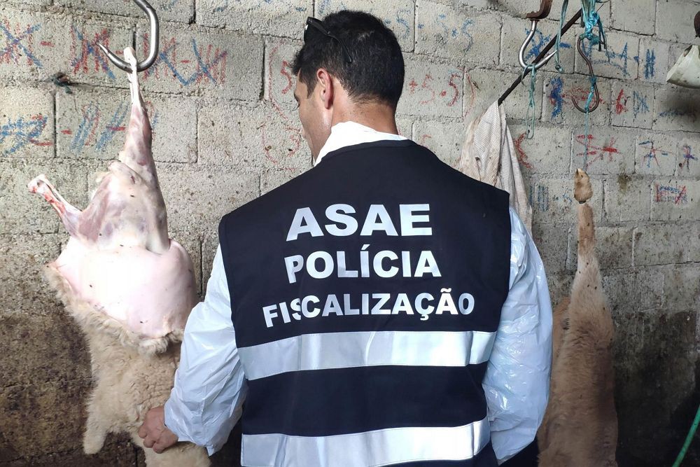 ASAE desmantela matadouro ilegal em exploração pecuária em Moncorvo