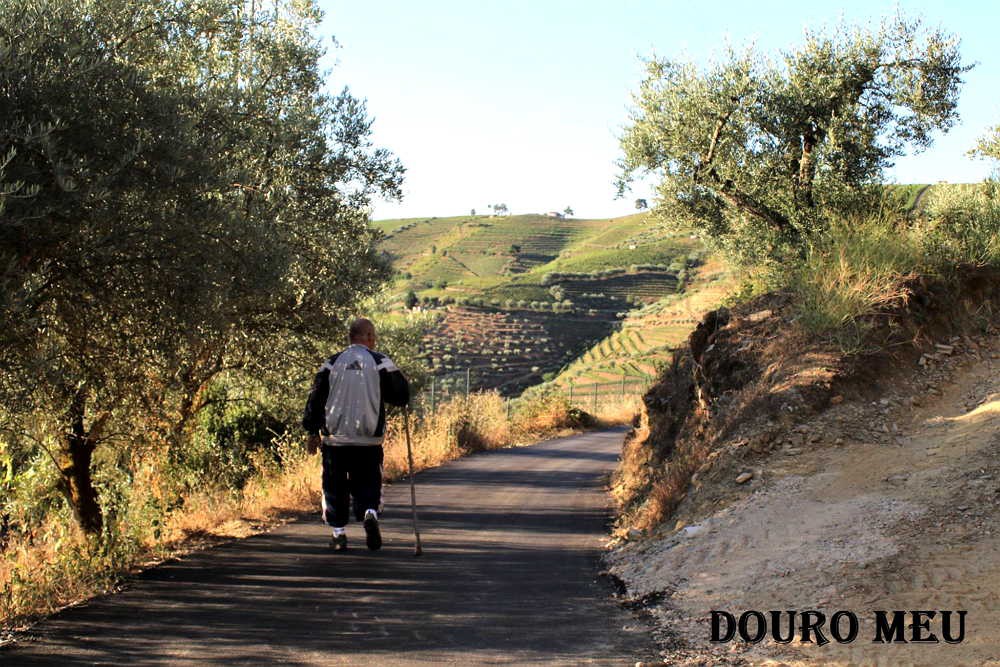 Concluída rota pedestre que liga Douro Internacional ao Douro Vinhateiro