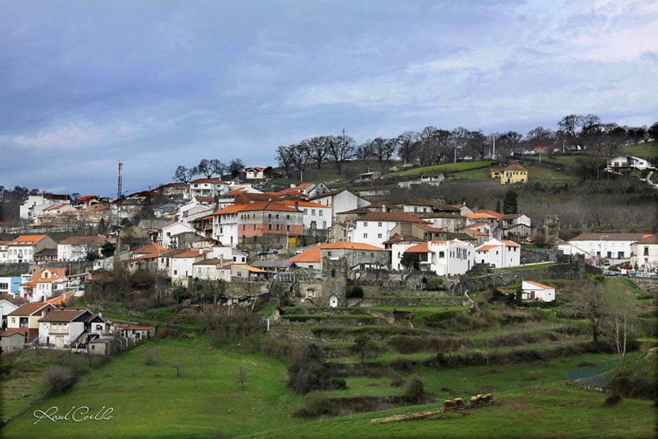 Vinhais ajuda a pagar metade da renda a famílias carenciadas