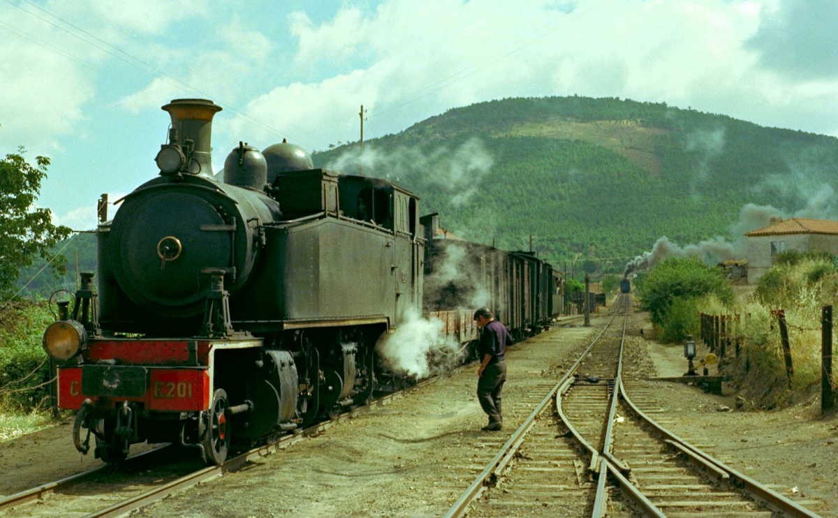 Nordeste Transmontano reivindica novas ferrovias