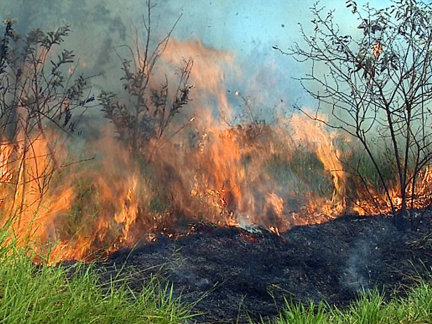 PJ deteve suspeito de ter ateado incêndio em Vinhais