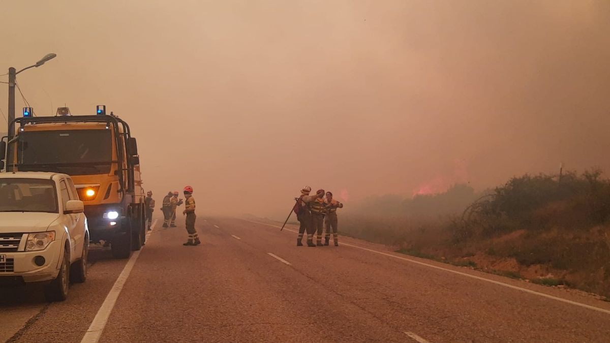 Bombeiros portugueses combatem incêndio na província de Zamora