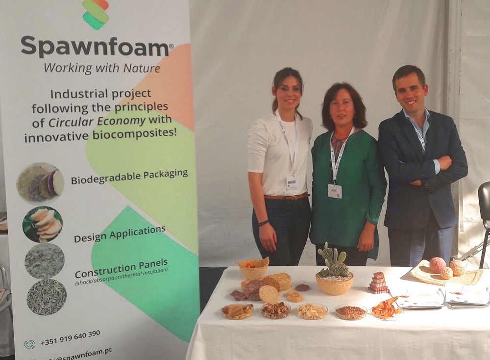 ‘Startup’ cria biocompósitos com resíduos agroflorestais