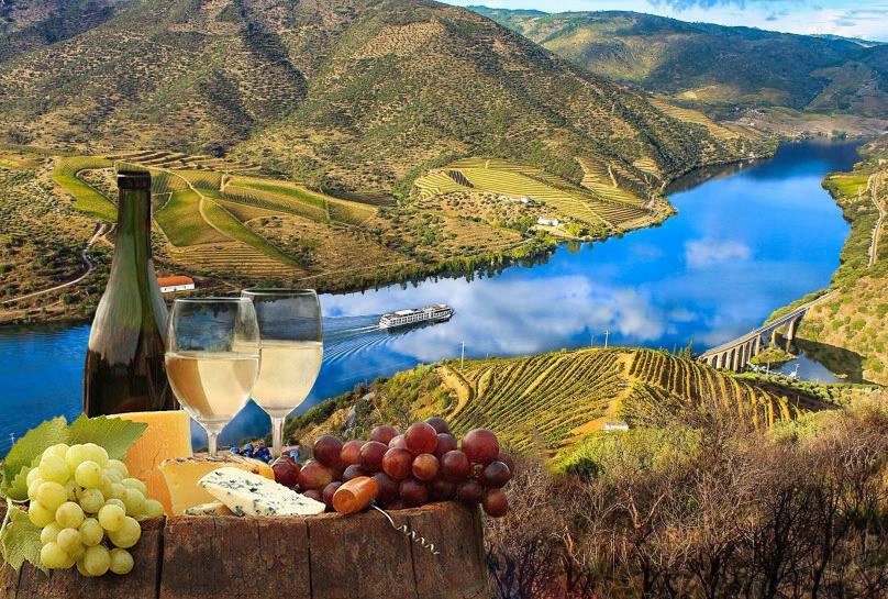 Mudanças climáticas afetarão produção de vinho no Douro