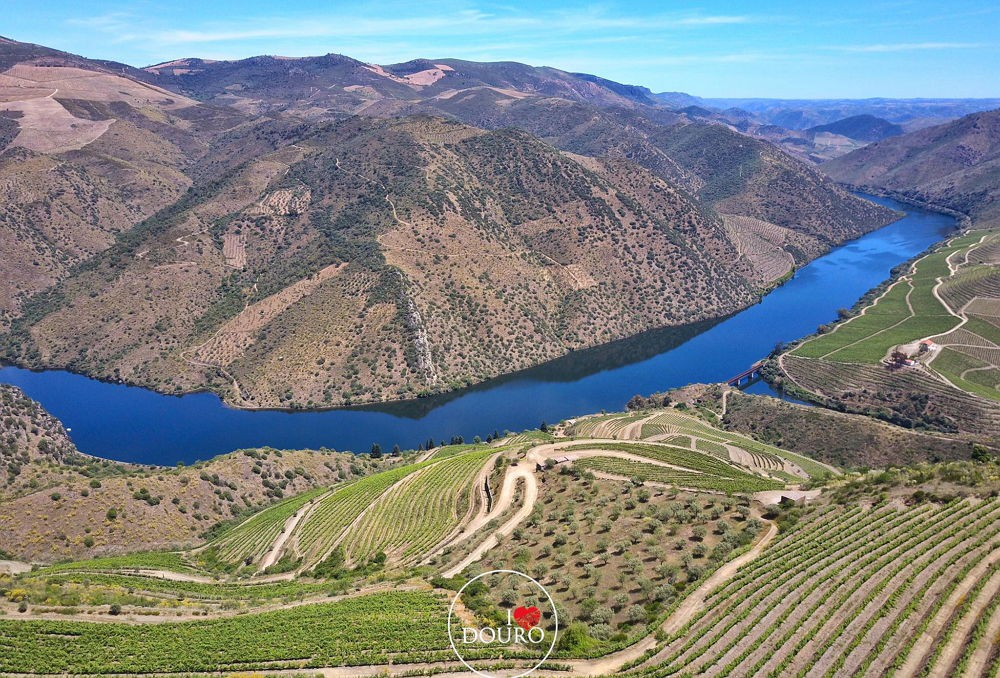 Projeto de vinhos em Foz Côa em "perfeito equilíbrio" ambiental