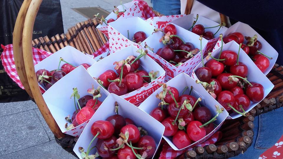 "Arte e Cultura" em grande relevo na Festa da Cereja de Alfândega da Fé 