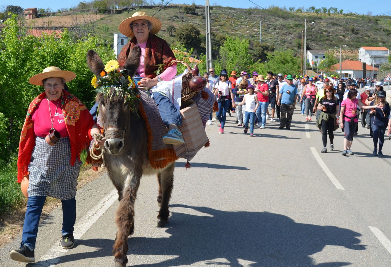 Caminhada e Ronda pelas Adegas um sucesso a repetir