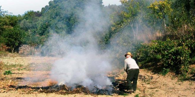 Operação “Queimada Segura” da GNR sensibiliza para uso legal do fogo