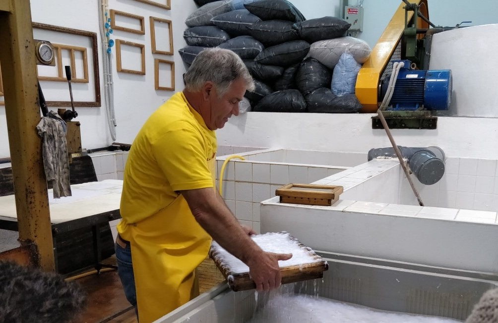 Escola Miguel Torga de Sabrosa visita Papel D'Ouro